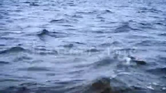 水面波涛汹涌的灰暗大海视频的预览图