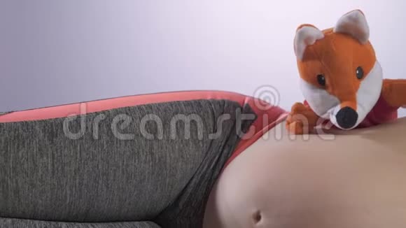 怀孕观念带着红狐玩具的孕妇视频的预览图