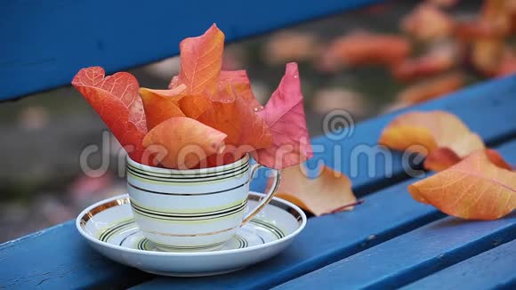 热茶杯凳秋叶视频的预览图