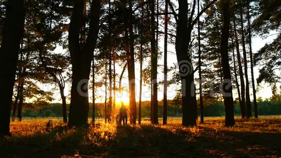一个幸福的家庭和一个小孩子朝镜头跑去日落时森林里一个男人女人和孩子的剪影视频的预览图