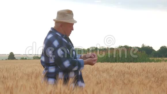 成熟的农民满意地看着他的耕地并在一个工作日后照顾小麦成熟的男人视频的预览图
