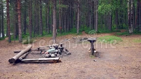 在松林中露营用长凳和火坑视频的预览图