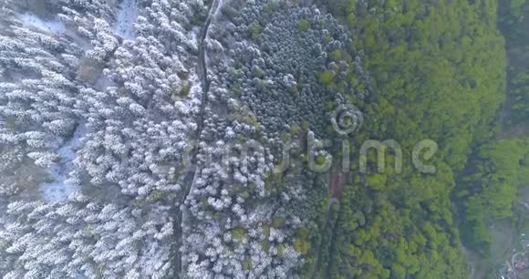 4k无人驾驶飞机从上面的森林镜头与雪极限过渡与道路视频的预览图