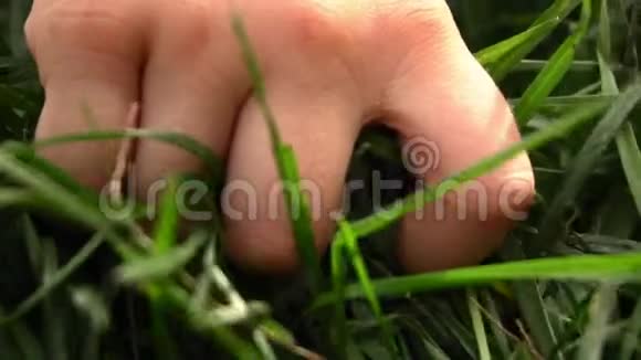 小孩的手在草地上拽视频的预览图
