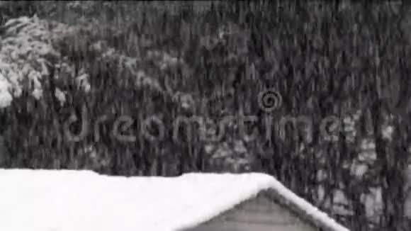 森林背景积雪落在树木和屋顶上视频的预览图