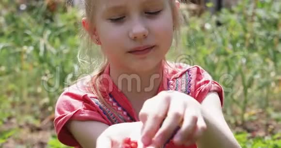 一个甜美的女孩拿着草莓在手掌上吃视频的预览图