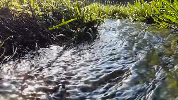 小河流在超慢运动特写和短焦点视频的预览图