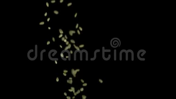 在黑色背景上分离的白色芝麻种子向上下落库存录像食品准备视频的预览图