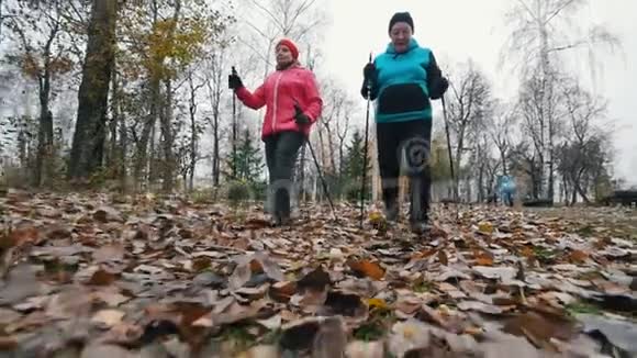两位老年妇女开始用北欧的拐杖走路在枯叶上行走视频的预览图