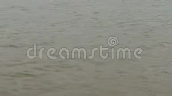 哥伦比亚卡萨纳雷平原河流水流视频的预览图