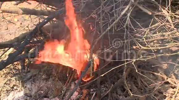男性用纸和树枝来点燃壁炉视频的预览图