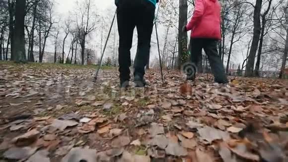两位老年妇女用北欧的拐杖走路深秋在枯叶上行走慢动作背面视频的预览图