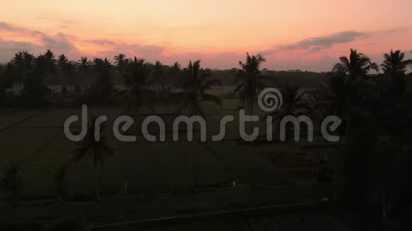 在巴厘岛日出或日落时带景观和水稻梯田的鸟瞰图视频的预览图