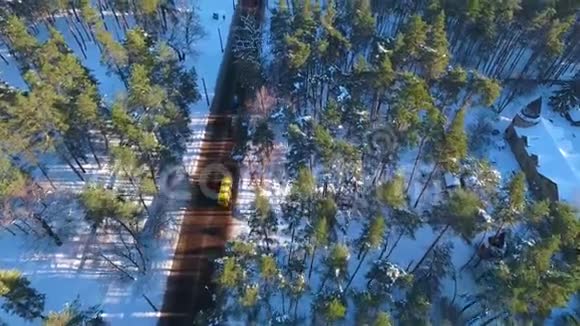 冬天的森林和道路在雪中从鸟瞰视频的预览图