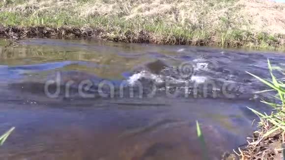 水流湍急河岸上长满了绿草和植物视频的预览图