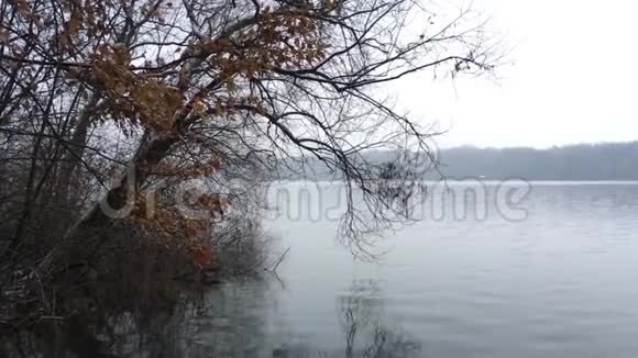 湖在深秋视频的预览图