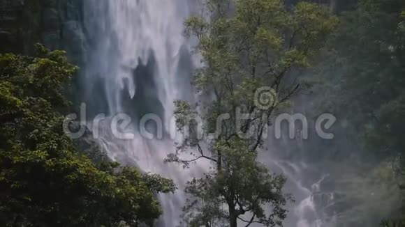 美丽的中型绿树在大丛林瀑布前冲下异国风的斯里兰卡森林视频的预览图