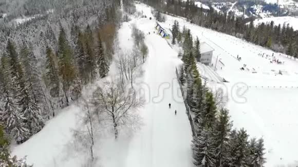 空中无人驾驶飞机射击滑雪者通过轨道在冬季在神话般的山脉森林覆盖着雪和视频的预览图