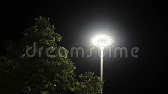 晚上在公园的一根柱子上燃灯库存录像晚上在公园里点亮现代灯笼视频的预览图