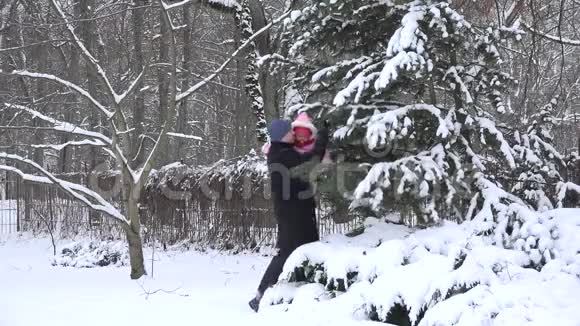 在冬天的花园里更多的女婴从灌木丛的树枝上摆脱雪4K视频的预览图