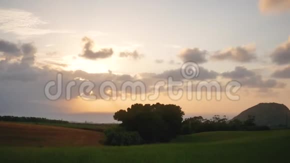 美丽的夕阳映衬下如画的草地视频的预览图