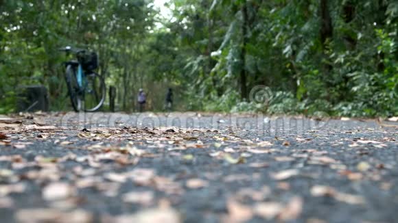 幸福的一家人骑自行车在郁郁葱葱的绿色森林里的赛道上视频的预览图