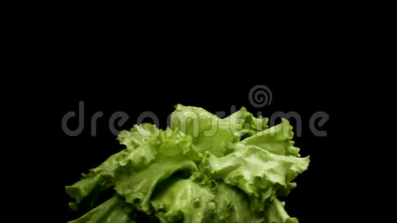 将新鲜的绿色生菜在黑色背景生菜旋转健康的食品理念库存录像美丽美丽视频的预览图