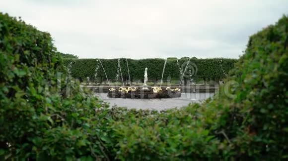 彼得霍夫公园的美丽喷泉视频的预览图