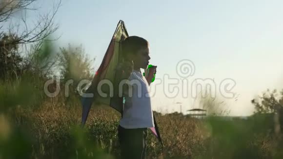 男孩在夏天的风景背景下玩莫特利风筝梦想飞翔的概念视频的预览图
