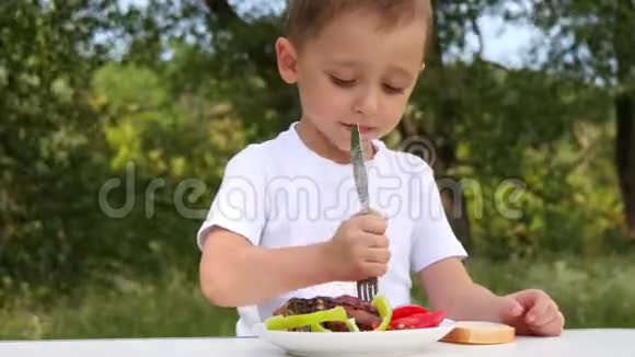 一个小男孩在大自然中吃多汁的烤肉肉在火中煮熟视频的预览图