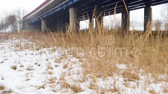 干草在下雪的地方缓慢运动天气冷到处都是雪视频的预览图