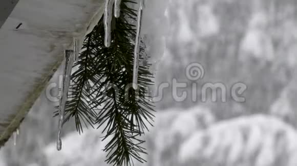 冬季屋顶上悬挂的岩柱和树枝视频的预览图