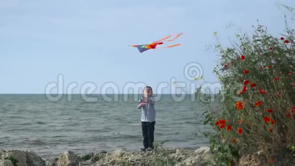孩子站在沙滩上玩风筝幼儿游戏视频的预览图