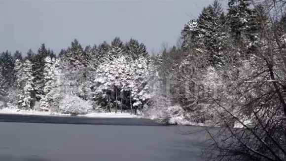 在华盛顿州的冰冻湖和冬季森林中探险视频的预览图
