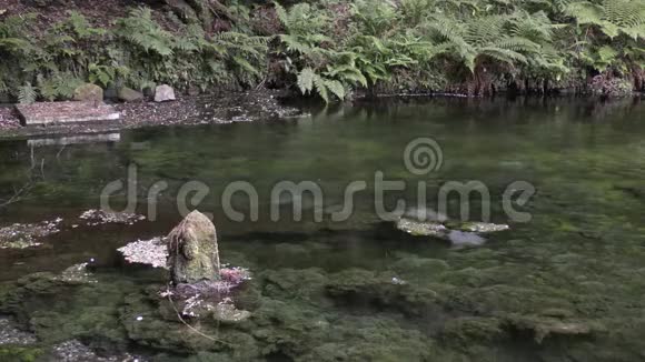 池塘上的石像视频的预览图