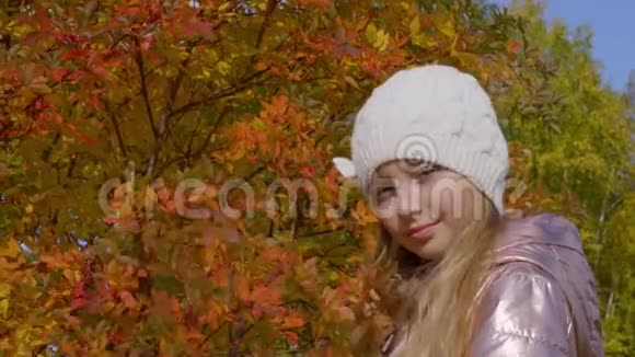 戴帽子的肖像女孩背景是金色和红色叶子的秋树和灌木视频的预览图