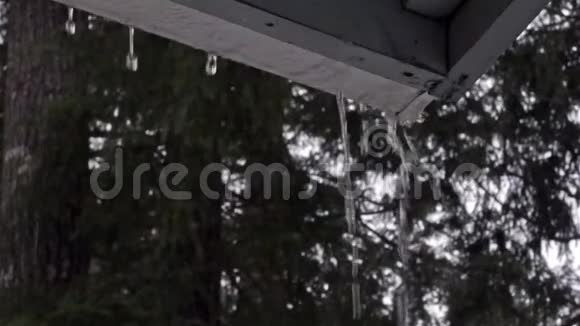 雨水从家底的旧水沟里流出来视频的预览图