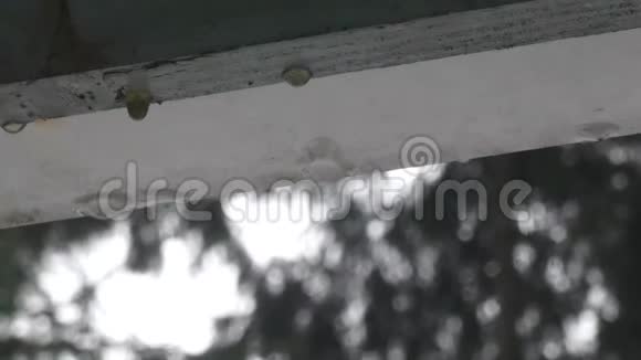 屋顶积雪融化后滴水视频的预览图