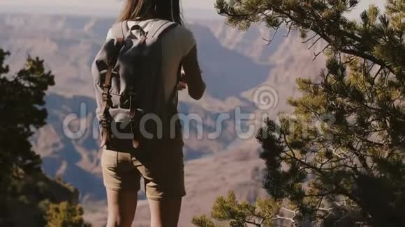 后观欢乐旅游女徒步拍智能手机拍照惊艳大峡谷国家公园山景视频的预览图