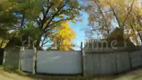 秋天的景色从车窗看到树上有黄绿色的叶子视频的预览图