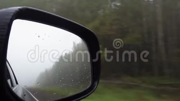 雨秋天气下森林道路侧后视镜反射视频的预览图