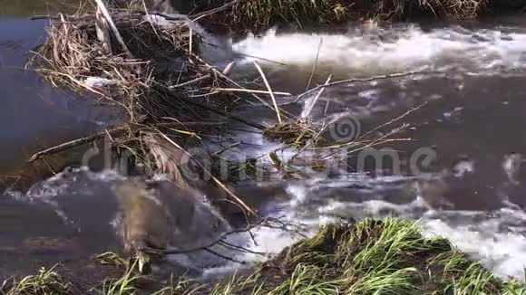 水从树枝和垃圾中流过水坝视频的预览图
