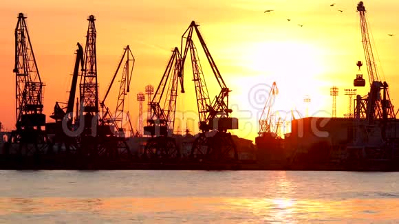 日落时的瓦尔纳海港鸟的轮廓工业起重机和货船保加利亚视频的预览图
