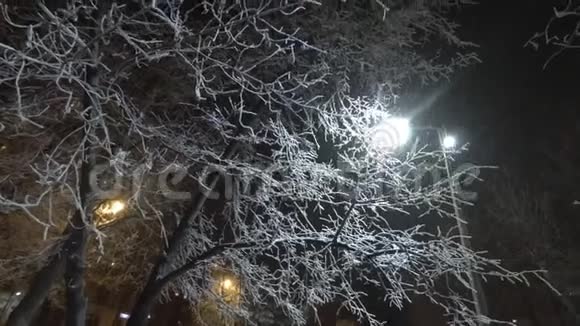 雪在城市的夜晚落下视频的预览图