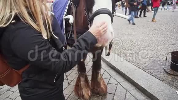 金发女孩在户外抚摸一匹马慢动作视频的预览图