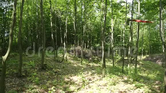 斧头在树林里飞视频的预览图