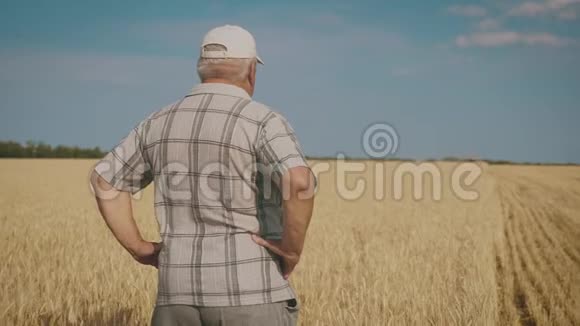 成熟的农民在联合收割机收割时站在麦田里他控制着收割过程一个袋子视频的预览图