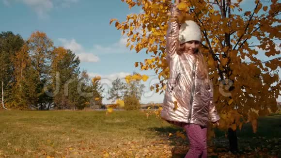 有趣的少年女孩手捧秋叶在落叶中翩翩起舞视频的预览图