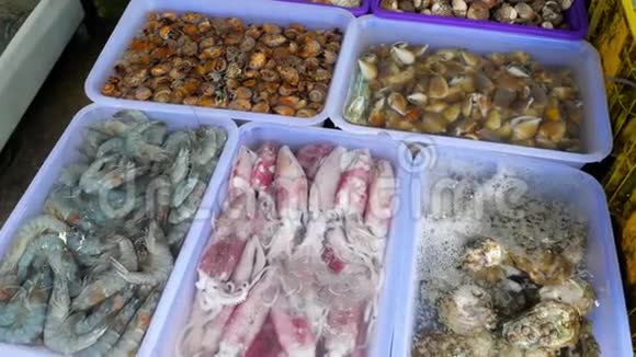 泰国街头市场新鲜海鲜视频的预览图