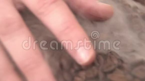 戴着戒指的手在大臂上抓着一大堆香喷喷的咖啡豆躺在烟雾中视频的预览图